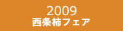 2009�����`�t�F�A